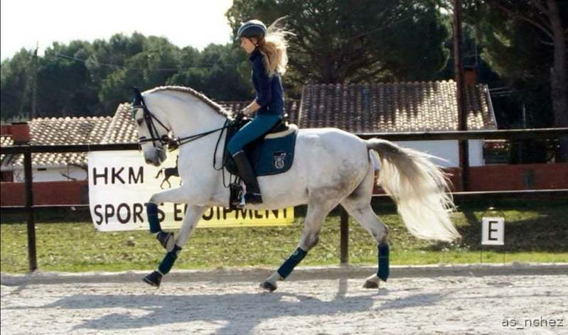 Comparto pupilaje caballo castrado. - Busco/Cambio/Cedo Caballo in 
