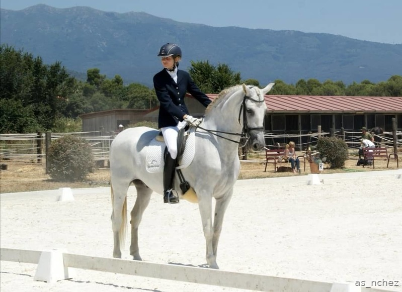 Comparto pupilaje caballo castrado. in 