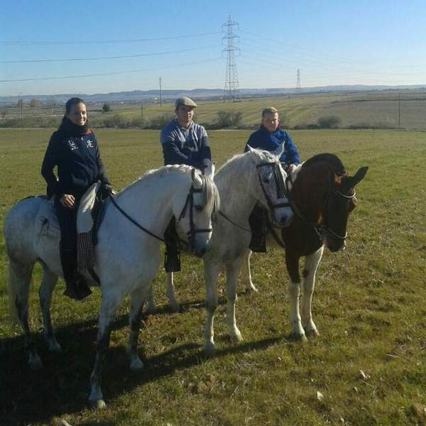 CHEROKEE, JACA CUATRALBA PIA - Caballos Capados Cruzado
