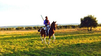 CHEROKEE, JACA CUATRALBA PIA