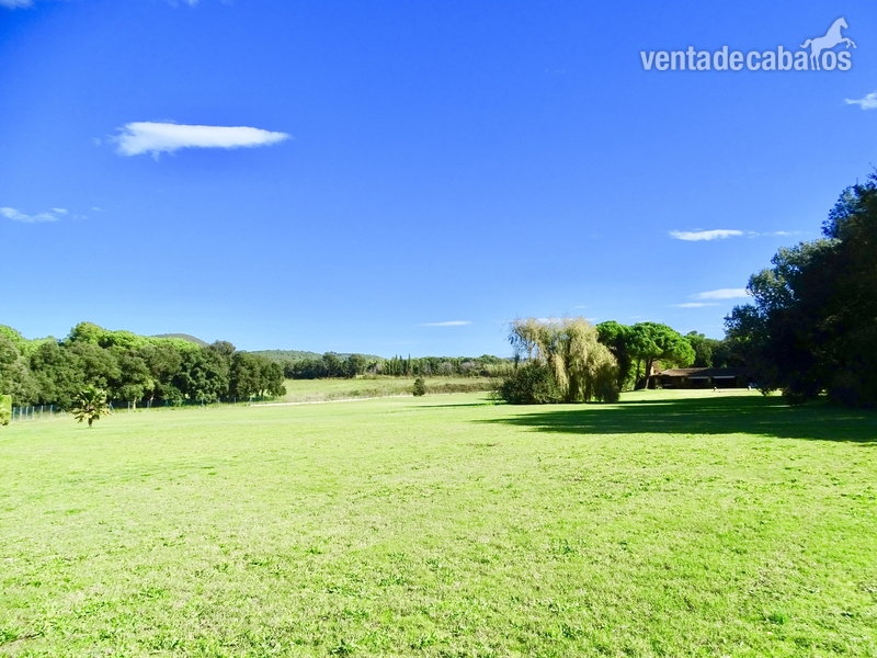 Regencós CASA de 764 m2 con piscina, 3 hectáreas y boxes para 2 caballos