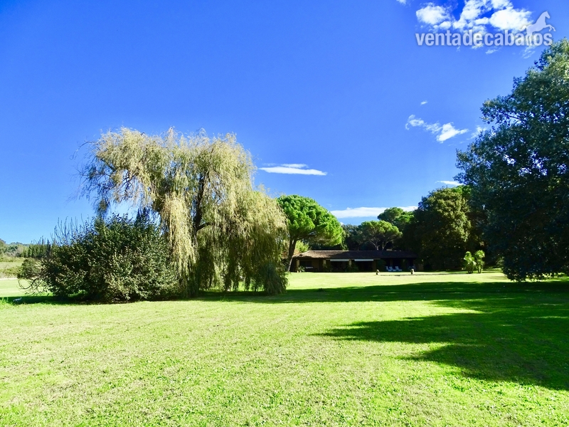 CASA de 764 m2 con piscina, 3 hectáreas y boxes para 2 caballos - Finca ecuestre in Regencós