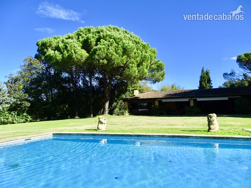 CASA de 764 m2 con piscina, 3 hectáreas y boxes para 2 caballos - Finca ecuestre