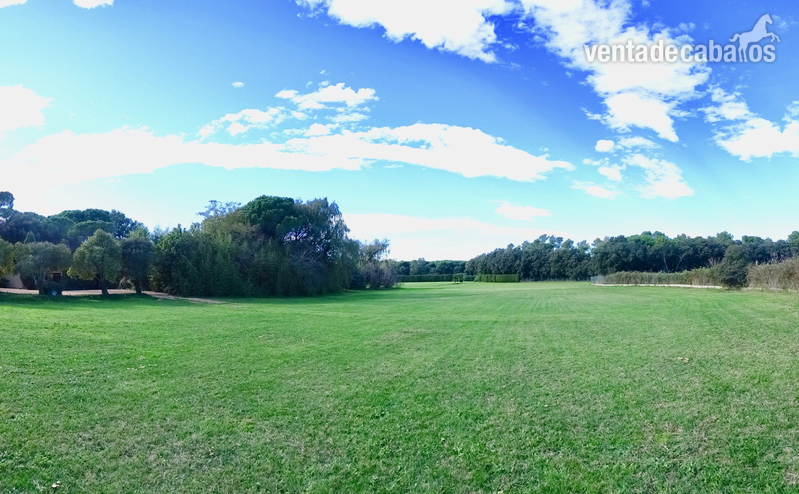CASA de 764 m2 con piscina, 3 hectáreas y boxes para 2 caballos Regencós