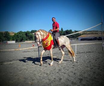 Yeguada Ortega,  caballos y potros de calidad !!! Albinos, Castaños,Negros, Alazanes,Tordos, Bayos, Perlas y Apaloosa
