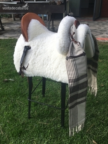  Silla mixta 
