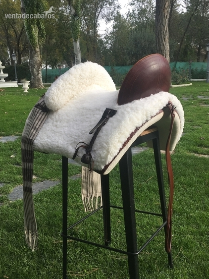 Silla mixta  - Sillas de montar in 