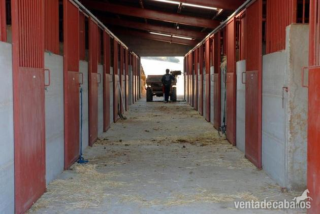los balbades se vende picadero 