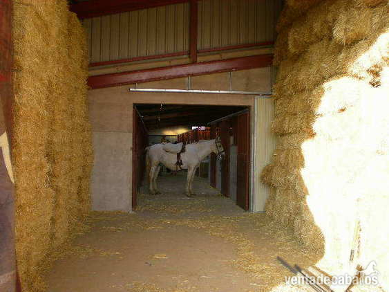 se vende picadero  los balbades
