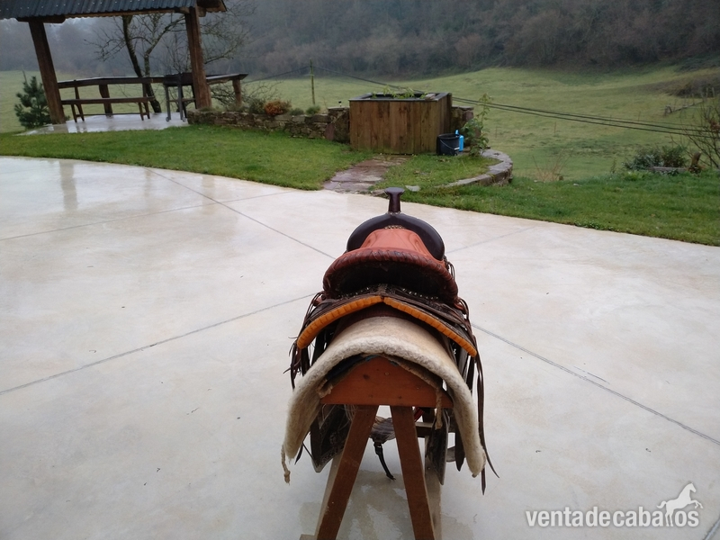 Silla western in 