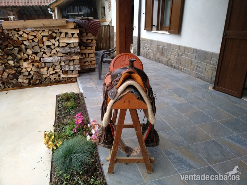 Silla western - Sillas de montar in 