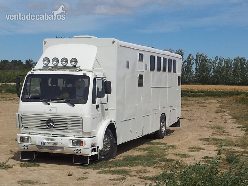 CAMION DE 7 CABALLOS PARA TODA ESPAÑA in 