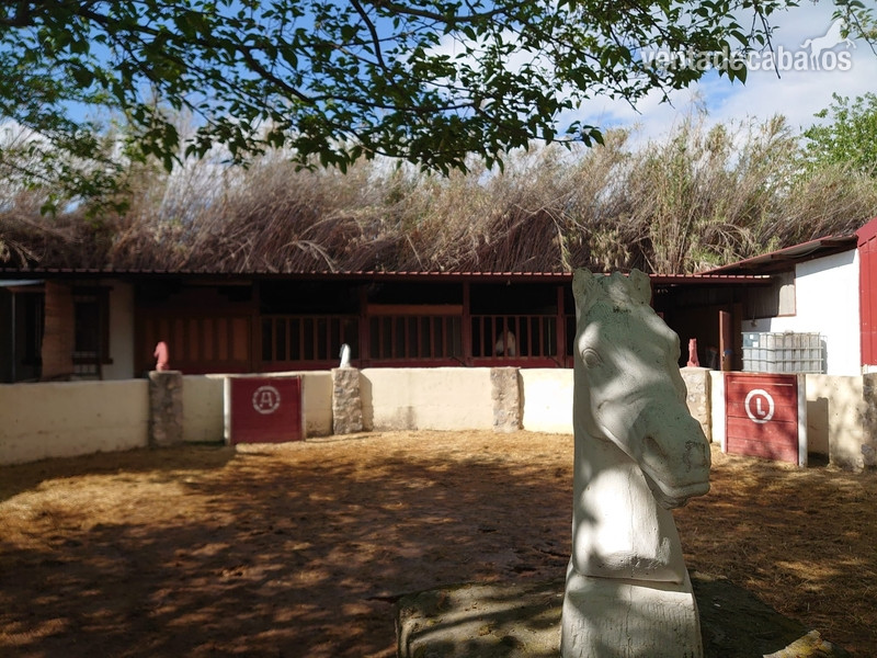 Hípicas y establos en venta - Finca hípica Granada in Granada