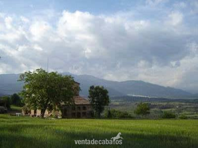 Compartiria masía y caballos in Casserres
