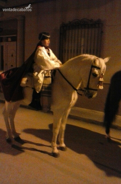 vendo caballo baturro in 