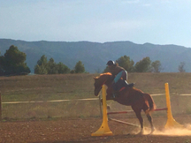 Caballo de salto, rutas y doma