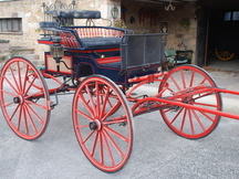 Coche de caballos tipo buggy americano