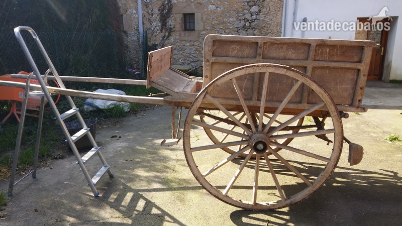 CARRUAJE ANTIGUO - Carruajes y Enganches in 