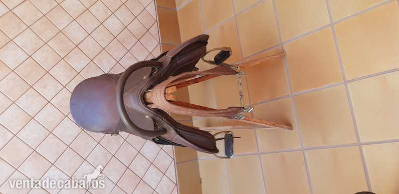 MONTURA PONNY INGLESA PIEL in 