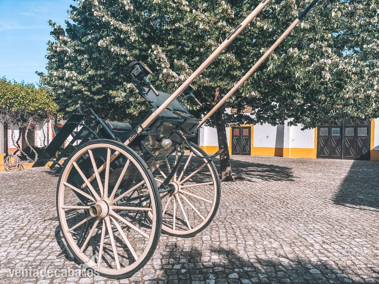 Carruaje en Portugal in 