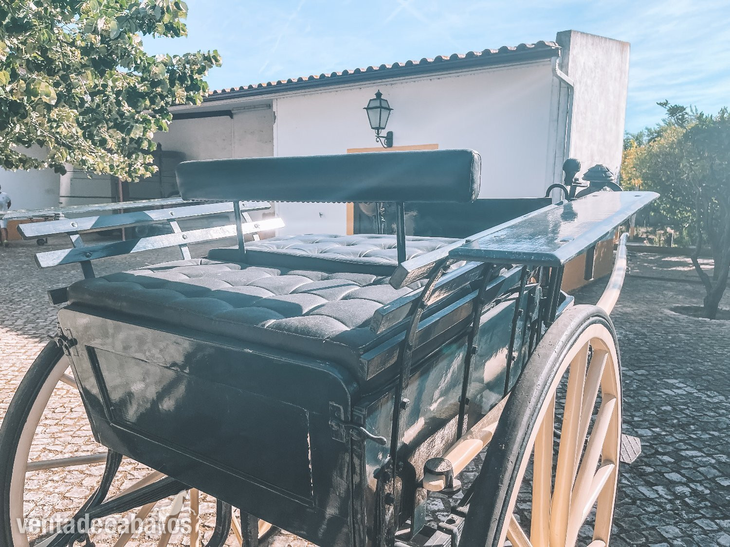 Carruaje en Portugal - Carruajes y Enganches in 