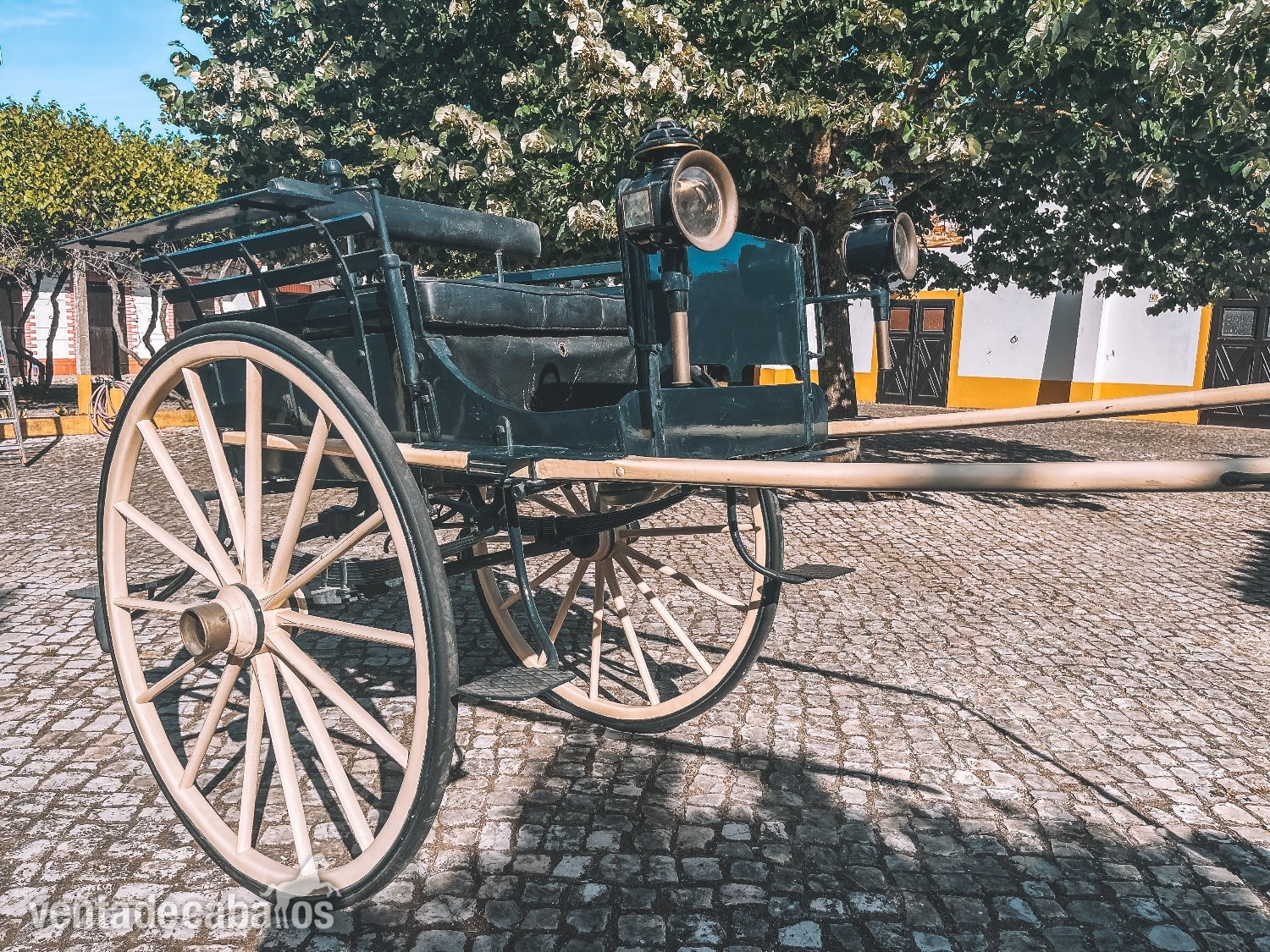 Carruaje en Portugal 