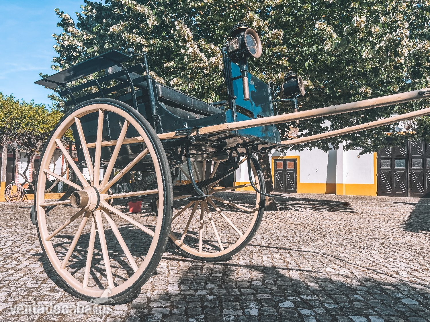 Carruajes y Enganches - Carruaje en Portugal in 