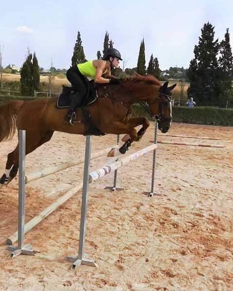 Hannoveriano