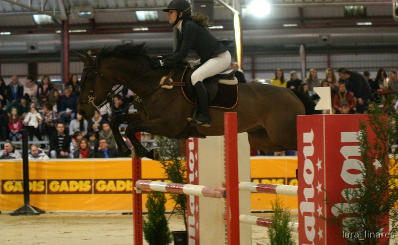 Caballo de salto in 