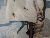 Silla vaquera mixta