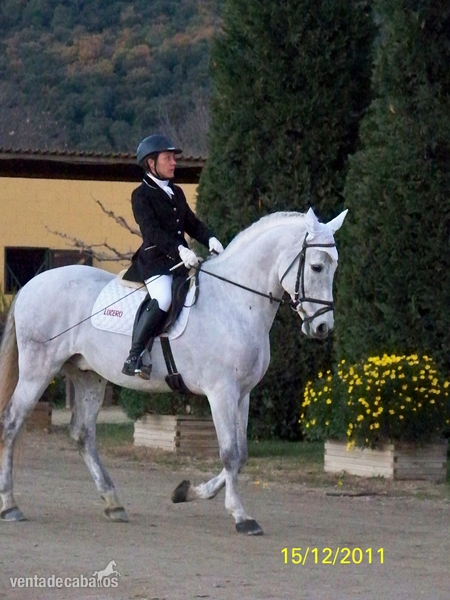 PRE CRUZADO {TYPE}