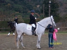 CEDO O VENDO CABALLO PRE - CRUZADO