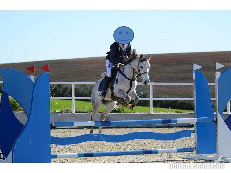 PONI C EN VENTA in 