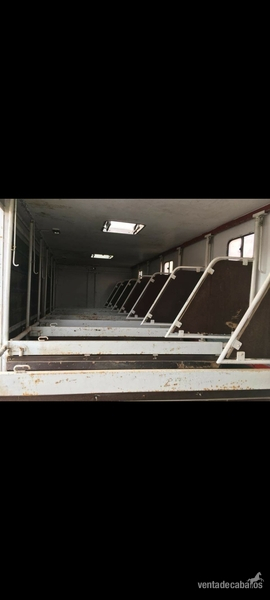 gondola - Transportes de caballos in 