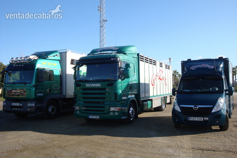 TRANSPORTE DE CABALLOS in 