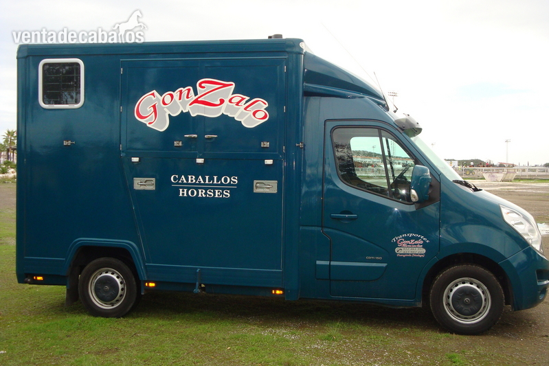 TRANSPORTE DE CABALLOS