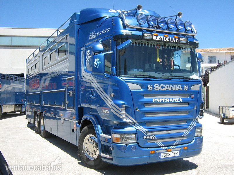 transporte de caballos a europa in 
