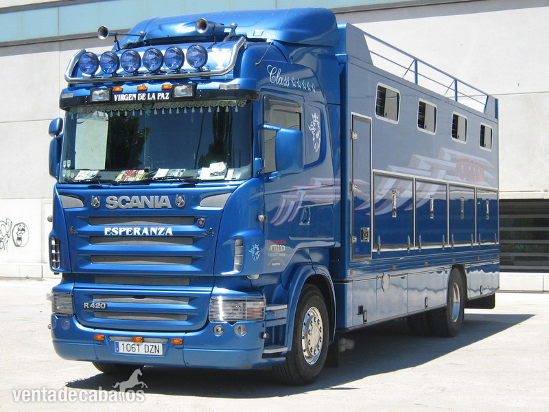 transporte de caballos a europa