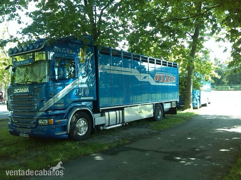 transporte de caballos a europa 