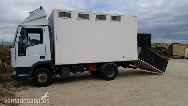 CAMION DE CABALLOS in 