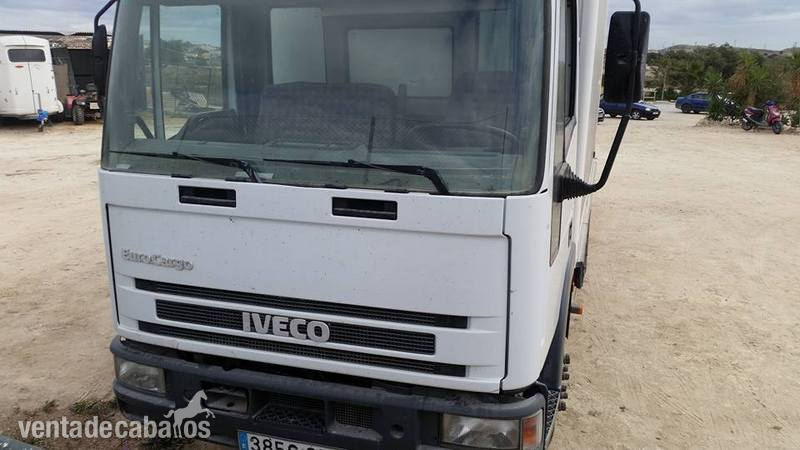CAMION DE CABALLOS