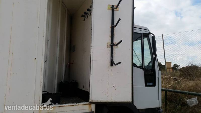 CAMION DE CABALLOS - Transportes de caballos in 