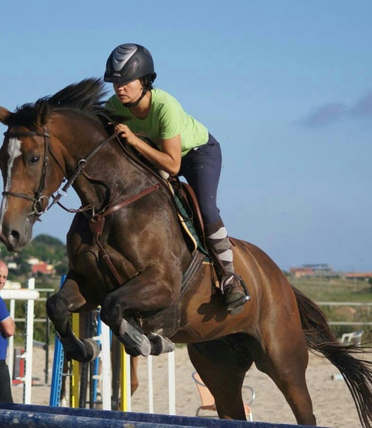 Caballo de Deporte Español (CDE) {TYPE}