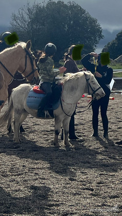 Poni A 1,00  in 