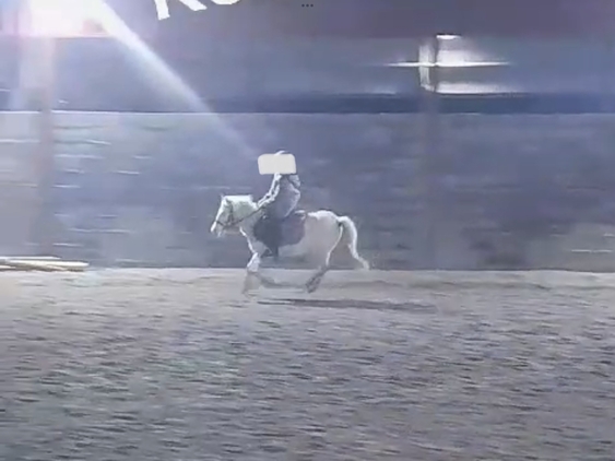 Poni A 1,00  - Ponis Pony Club
