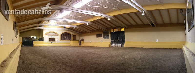 FINCA ECUESTRE DE CAPRICHO in MARCHAMALO