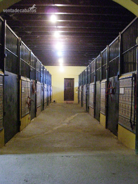 FINCA ECUESTRE DE CAPRICHO