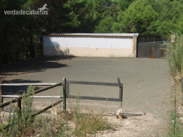 FINCA CON VIVIENDA PARA CABALLOS in Hostalets de Pierola