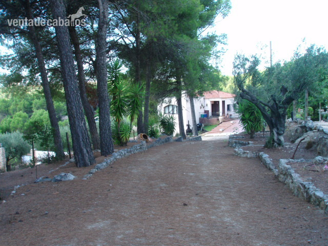 Hostalets de Pierola FINCA CON VIVIENDA PARA CABALLOS