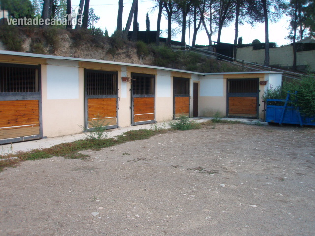FINCA CON VIVIENDA PARA CABALLOS - Finca ecuestre in Hostalets de Pierola